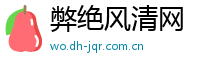 弊绝风清网